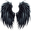 :93456wings: