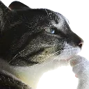 car Discord emoji