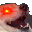 lb_dogge_trigger animated emote | EVOLUTION