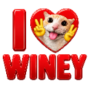 ccgg_ilovewiney Discord emoji