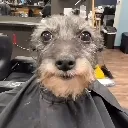 anxious