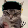 A tabby cat with a stern expression wearing a green bandana and holding miniature swords.