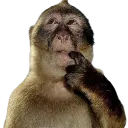 Hmm