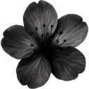 f86_flower