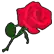 roseformadz