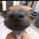 :emoji_6: