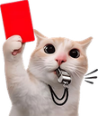 :440174redcard: