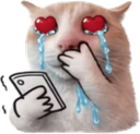 :455353inlove: