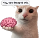 :501481nobrain: