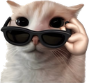 :600559glasses: