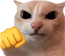 :794547fight: