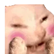 catOMGGG