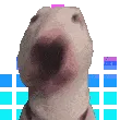 waltahdancd
