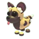 african_wild_dog