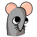 rat