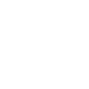 MemberIcon