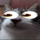 i_seeee