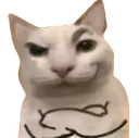:sigma_cat: