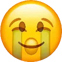 inside_cry