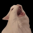 :bagadbilla: