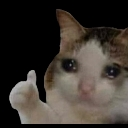 :koinaladle: