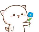 PeachFlowers