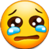 samsungcry custom emote - Friend server