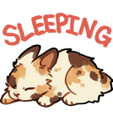 :7r_bunnysleepcalico: