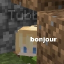 A Minecraft character peeking from behind a dirt block with the word bonjour written on the screen.