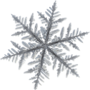 :2102snowflake: