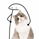 flork_cat