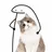 :flork_cat: flork_cat
