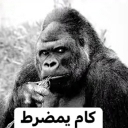 :emoji_96: