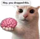 501481nobrain