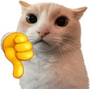 502259downvote