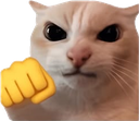 794547fight