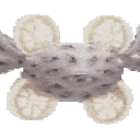 seraphimbody