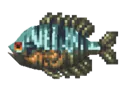 Bluegill