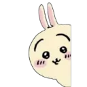 peak_a_boo