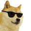 cooldoge animated emote from 𝔗𝔥𝔢 𝚨𝖇𝖘𝖚𝖗𝖉𝖎𝖘𝖙𝖘 ™