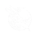 kon