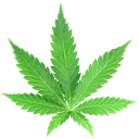 yellow_stoned_garden
