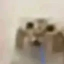 :salyaliked: