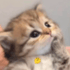:fullsize4: