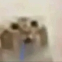 A blurry, distorted cat face with wide eyes and an open mouth in a state of shock.
