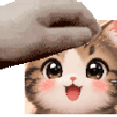 :pet: