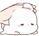 bunnypat