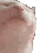 :cat_dance: