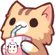 c4l_nekoSipmilk