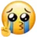 cry_piece
